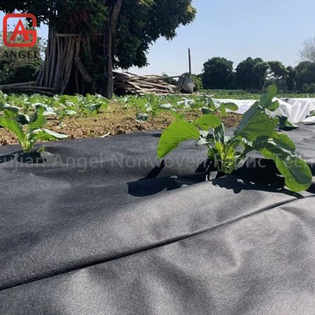 Polypropylene Non-Woven Ground Cover Anti-Grass Weed Barrier Control Mat for Agriculture