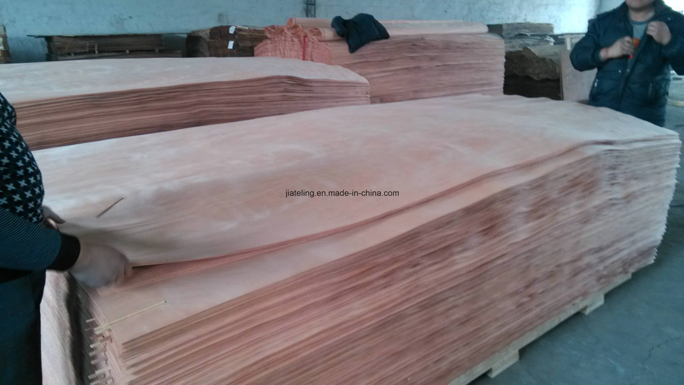 Rotary Cut Okoume Wood Veneer for Plywood