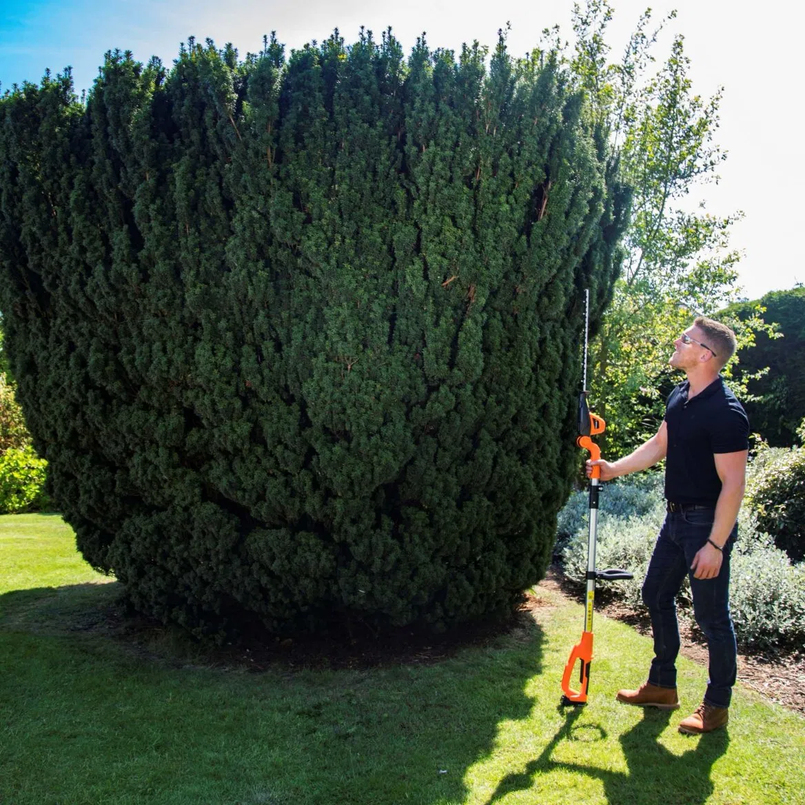 Lh C41A - Proper Gap Design Cordless Battery Telescopic Pole Hedge Trimmer