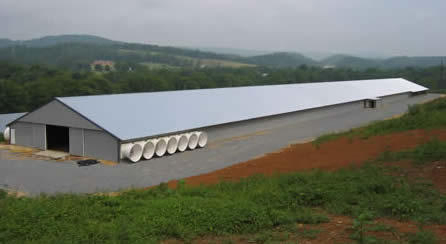 Hot DIP Galvanized Steel Structure Frame Cow Cattle Sheep Warehouse Farm Shed