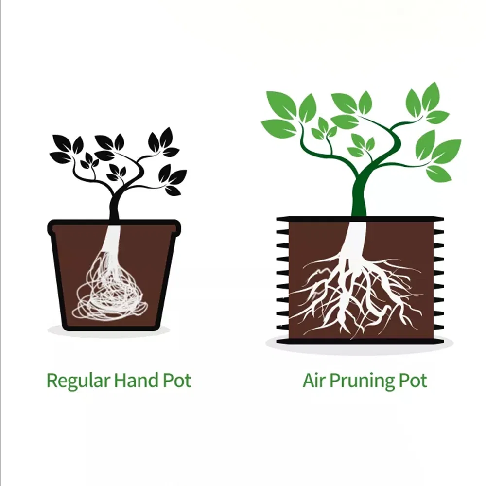 Commercial Root Pruning Pot: Industrial-Grade Root Pruning Solution