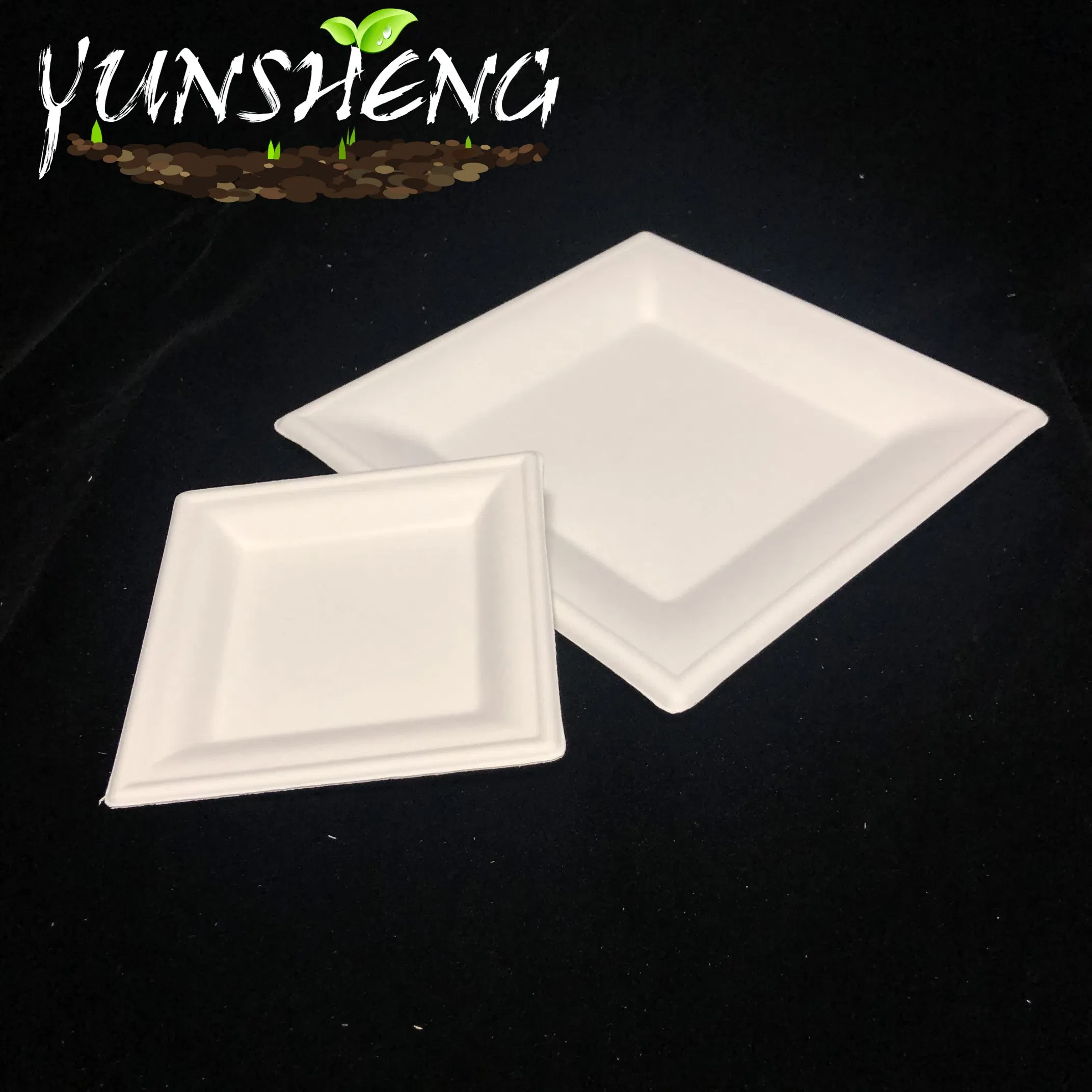 Disposable Manufactural Bagasse Pulp or Bamboo Fiber Paper Customized Square Plate for Delicious Cooking