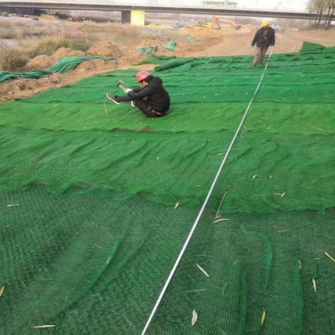 Tianen High-Quality 3D Geomat, Grass and Plastic Mats for Outdoor Landscaping, Earthwork, Slope Protection and Drainage