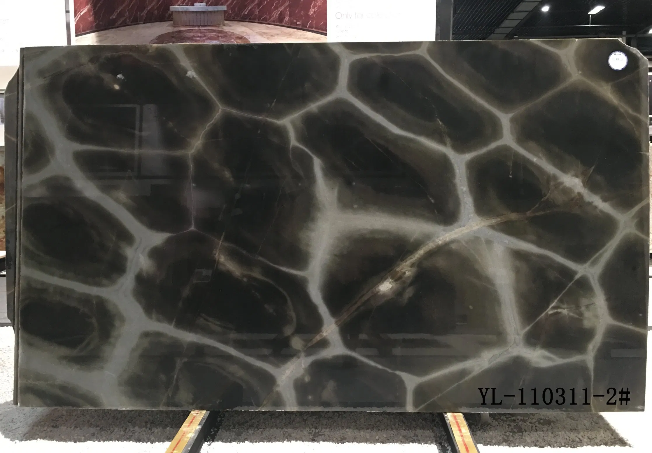3cm Turtle Illusion Quartzite Polished Tiles&Slabs&Countertop