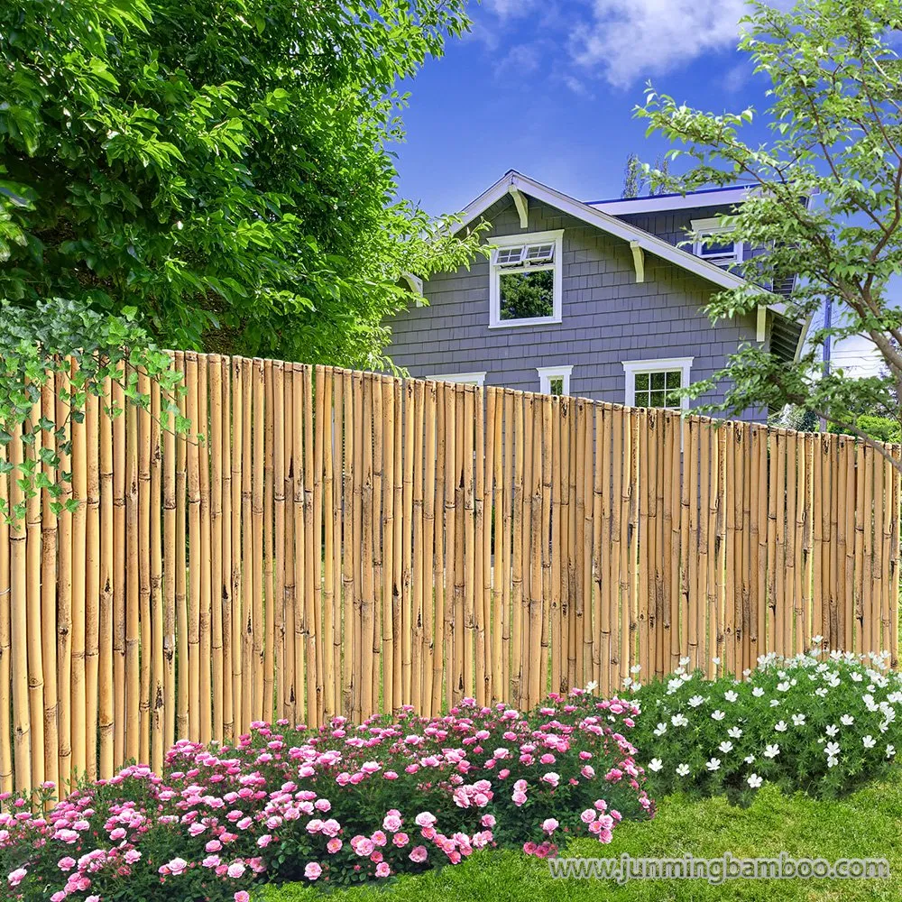 Wholesale Factory Price Bamboo Fence Bamboo Bunch Fence Natural Materials Solid Backyard Garden Privacy Fences