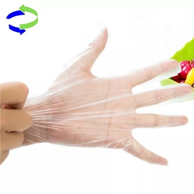 Disposable Plastic Food Grade CPE Food Glove TPE Gloves