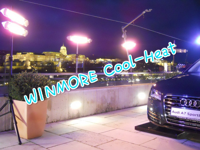 Home Appliance Radiator/ Waterproof Heater for Car Washing/Car Repair/Car Parking/Waiting Room