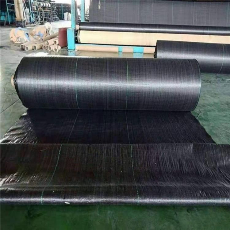 PP Woven Ground Cover Weed Barrier Landscape Fabric for Garden Farm Weed Control