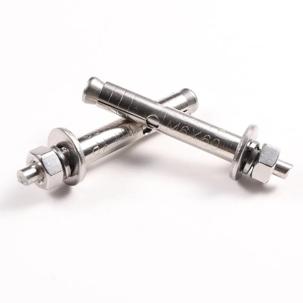 Customizable M10m12m16m20 Wedge Anchor Expansion Bolt Stainless Steel Plain Finish