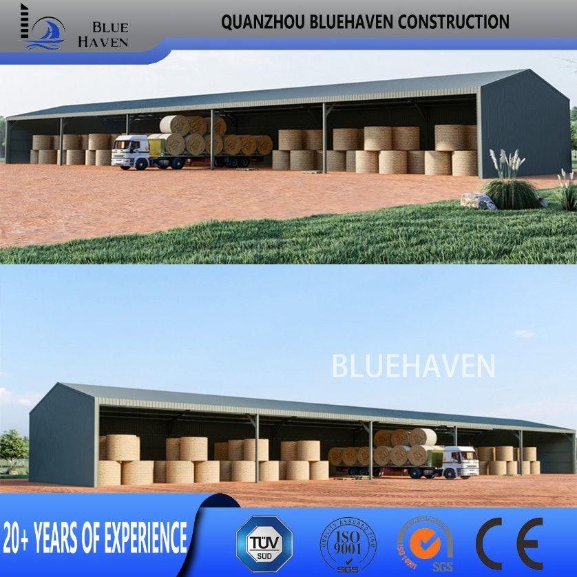 Steel Structure Frame Building Farm Cow Shed Chicken House Coop Poultry Farm