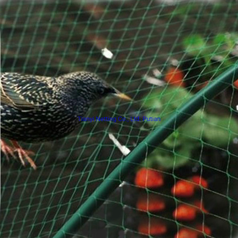 HDPE 8GSM 10X2m Green Color Anti Bird Net, Simple in Structure, High Quality, Protect Crops.