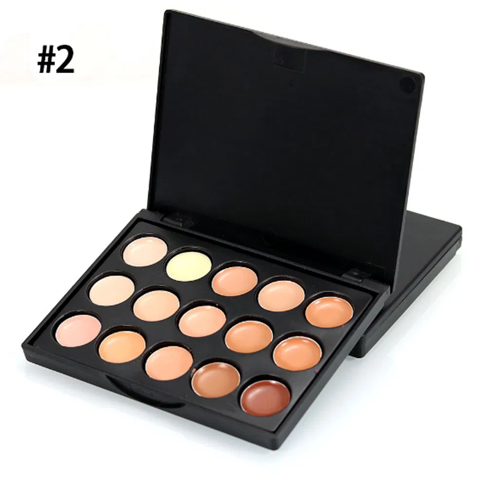 Popular Complete 15 Color Concealer Palette