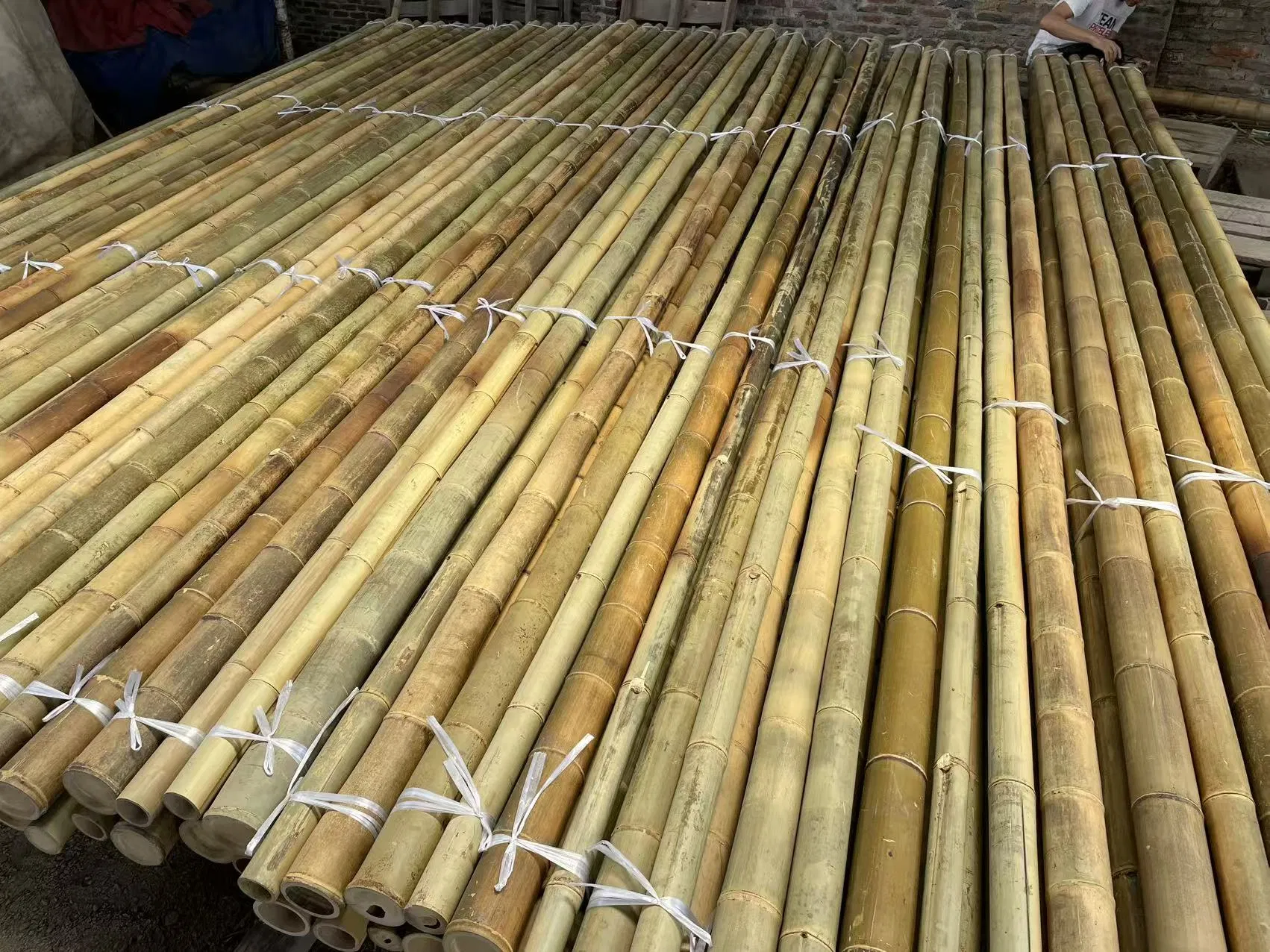 Premium Bamboo Poles for Plant Support High Quality Bulk Wholesale