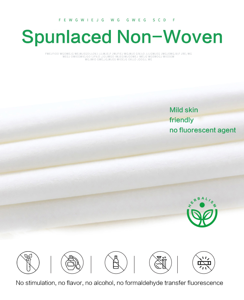 OEM Multi-Purposes Car Maintenance Cleaning Wet Wipes