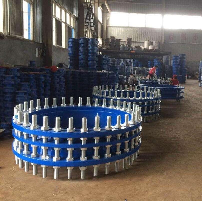 DN65-DN3200 Carbon Steel Cast Iron Double Flange Force Transfer Flexible Dismantling Joint