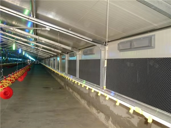 Low Cost Prefab Steel Structure Farm Poultry Metal Frame Factory Direct Supply