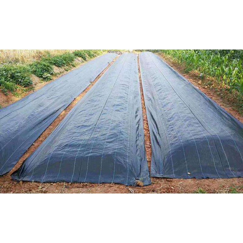 Heavy-Duty Multipurpose Tarp for Weed Control and Garden Protection