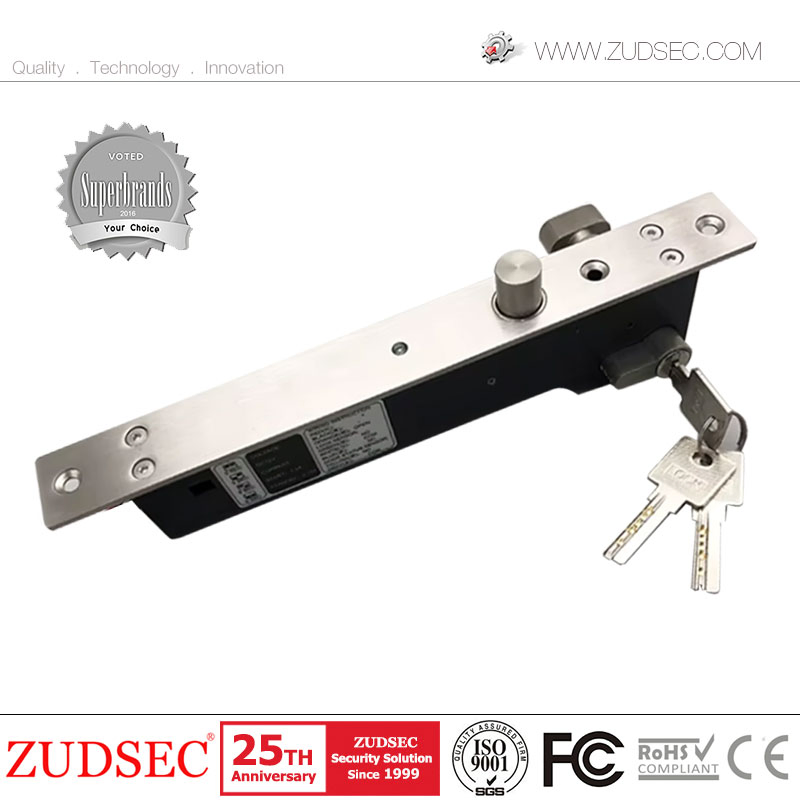 Pin Length 10mm 12VDC 0.6A Electric Cabinet Lock