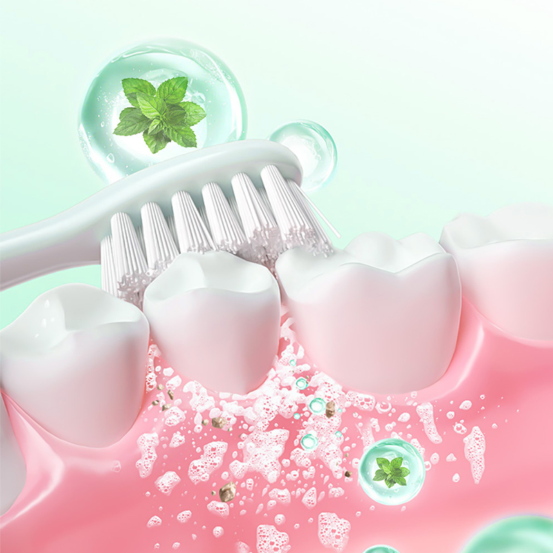 Travel Toothbrush Set Soft Bristle Toothpaste Included Portable Hygienic Pack