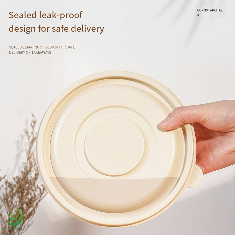 Disposable Fast Food Box Natural Eco-Friendly Biodegradable Takeaway Packing Box