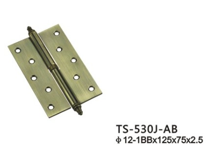 High Quality Security Stud Iron Door Hinge (5*3*3-4BB AC)
