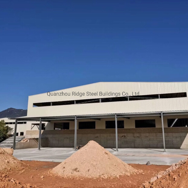 China Professional Design Commerical Prefabricated Steel Structure Farm House