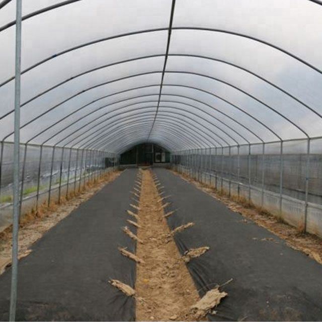 Premium Polypropylene Weed Mat for Effective Field Weed Management