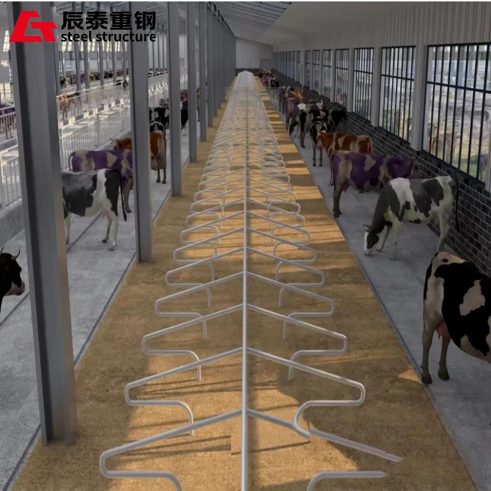 Gantry Steel Frame Steel Structure Poultry Farm to Achieve Efficient and Hygienic Poultry Breeding