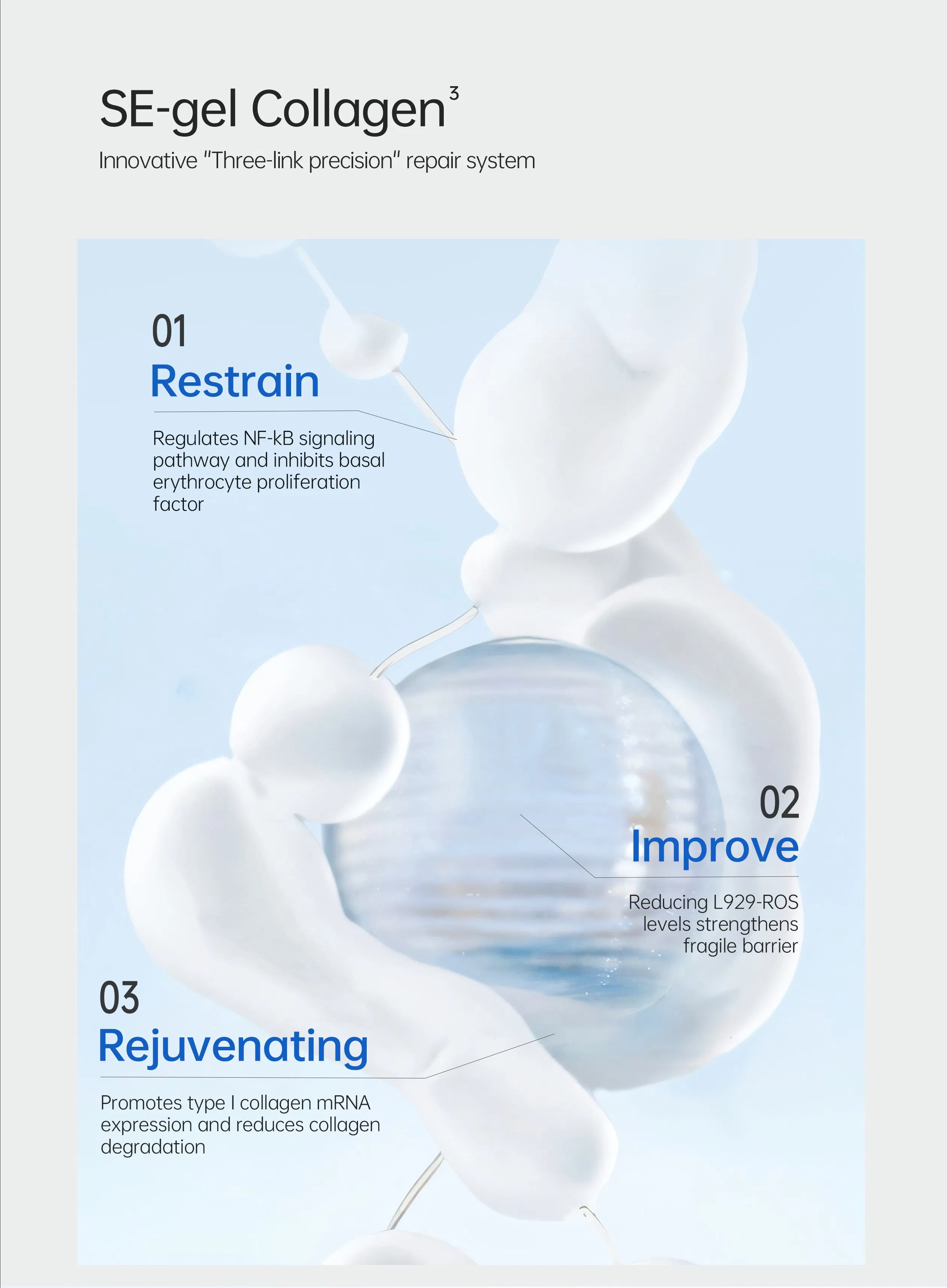 Skformula Asian Fish Collagen Lotion No Alcohol for All Type (Sensitive) Skin 100ml