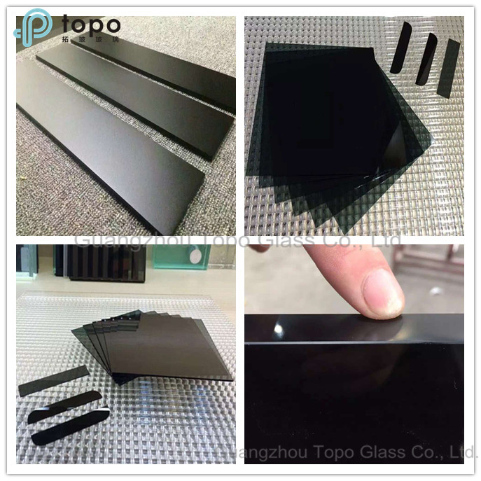 Function Glass / Special Glass for Building / Windows / Doors (S-TP)