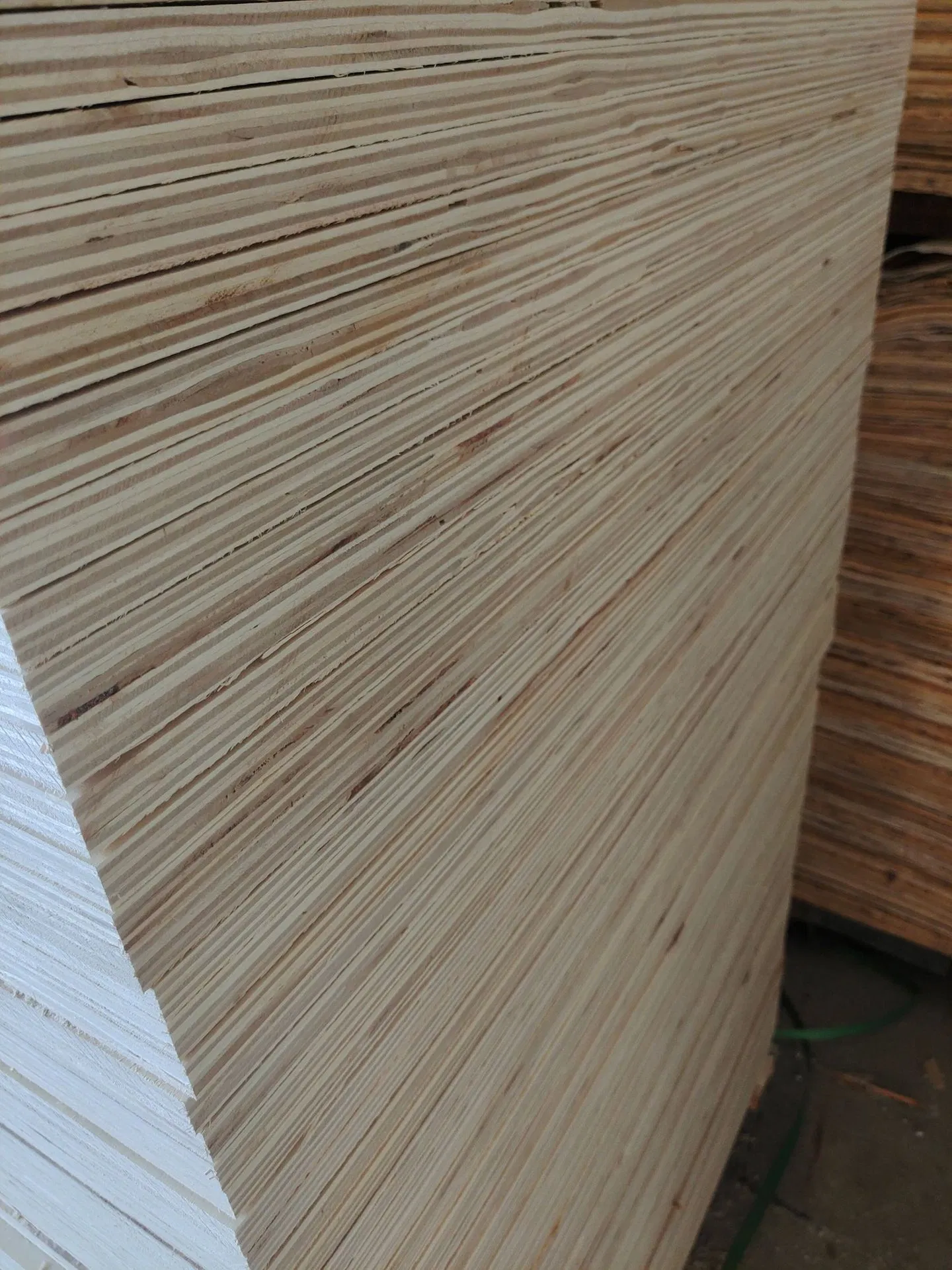 Bintangor Okoume Plywood Commercial Plywood for Furniture Construction 1220*2440*18mm