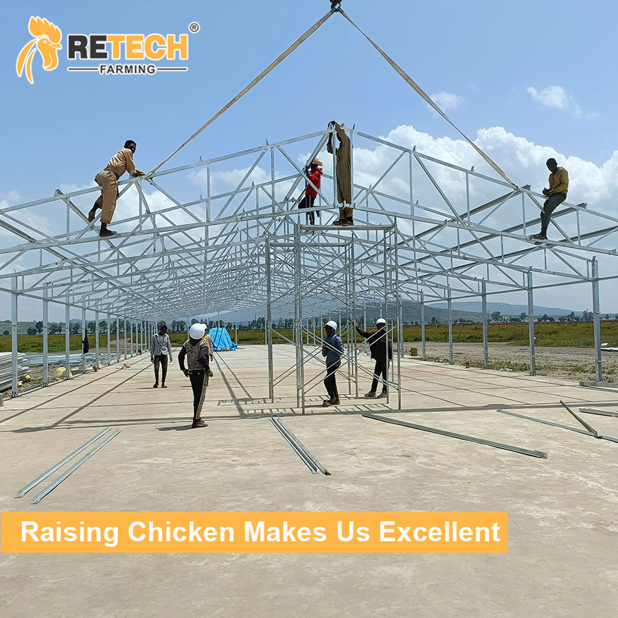 Chicken House with Chicken Cage Egg Layer and Prefab Steel in the Chicken Farm