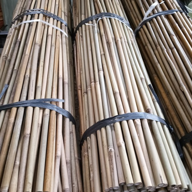 Tonkin Bamboo Poles Used for Building Garden or Farms/Bamboo Cane