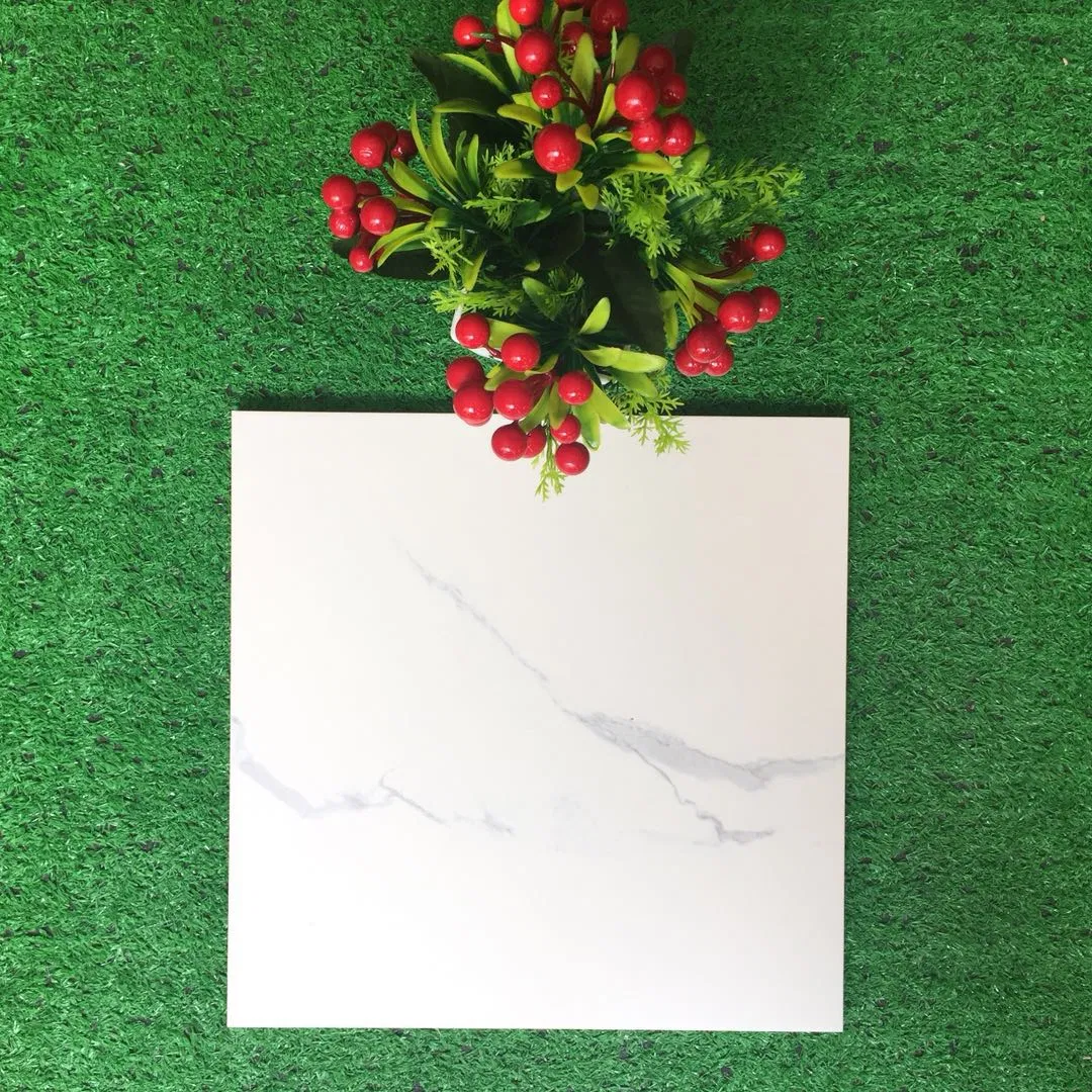 Buliding Material Ceramic Wall Tile 3D Inkjet Digital Printing (300*600mm)