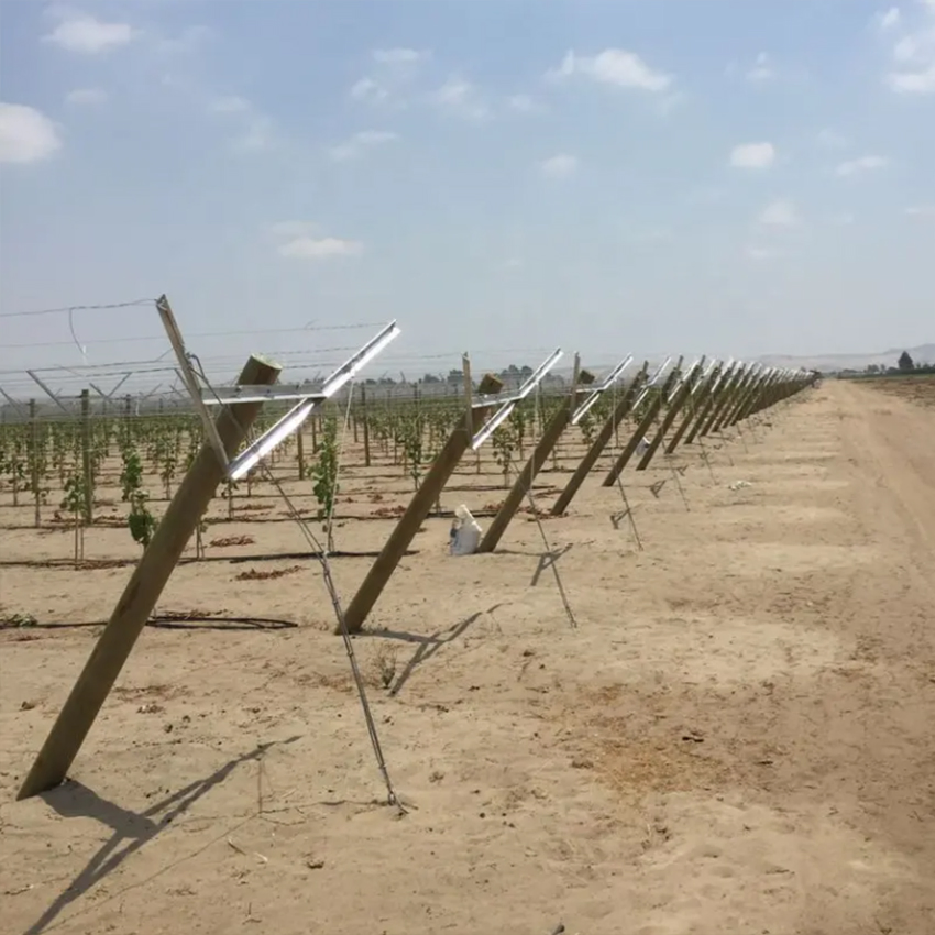 Galvanized Steel Vineyard Framework for Grapevine Support with Strong and Secure Trellis Posts for Commercial Use