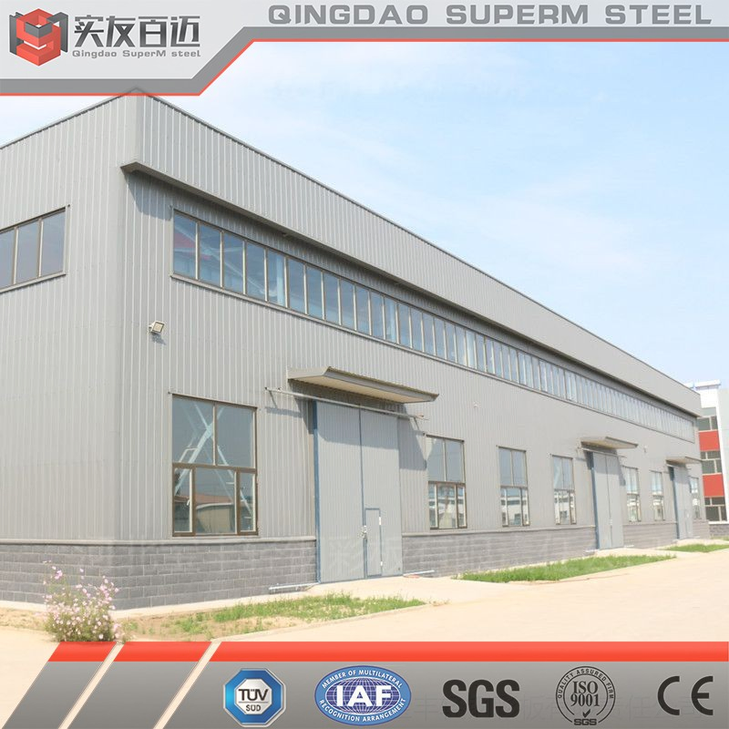 Durable Good Price of Clear Span Without Middle Column Metal Steel Building