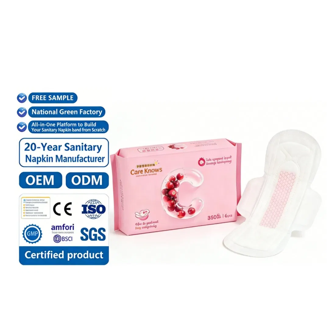 Free Sample Customize China Wholesale Sanitary Napkin Menstrual Pads