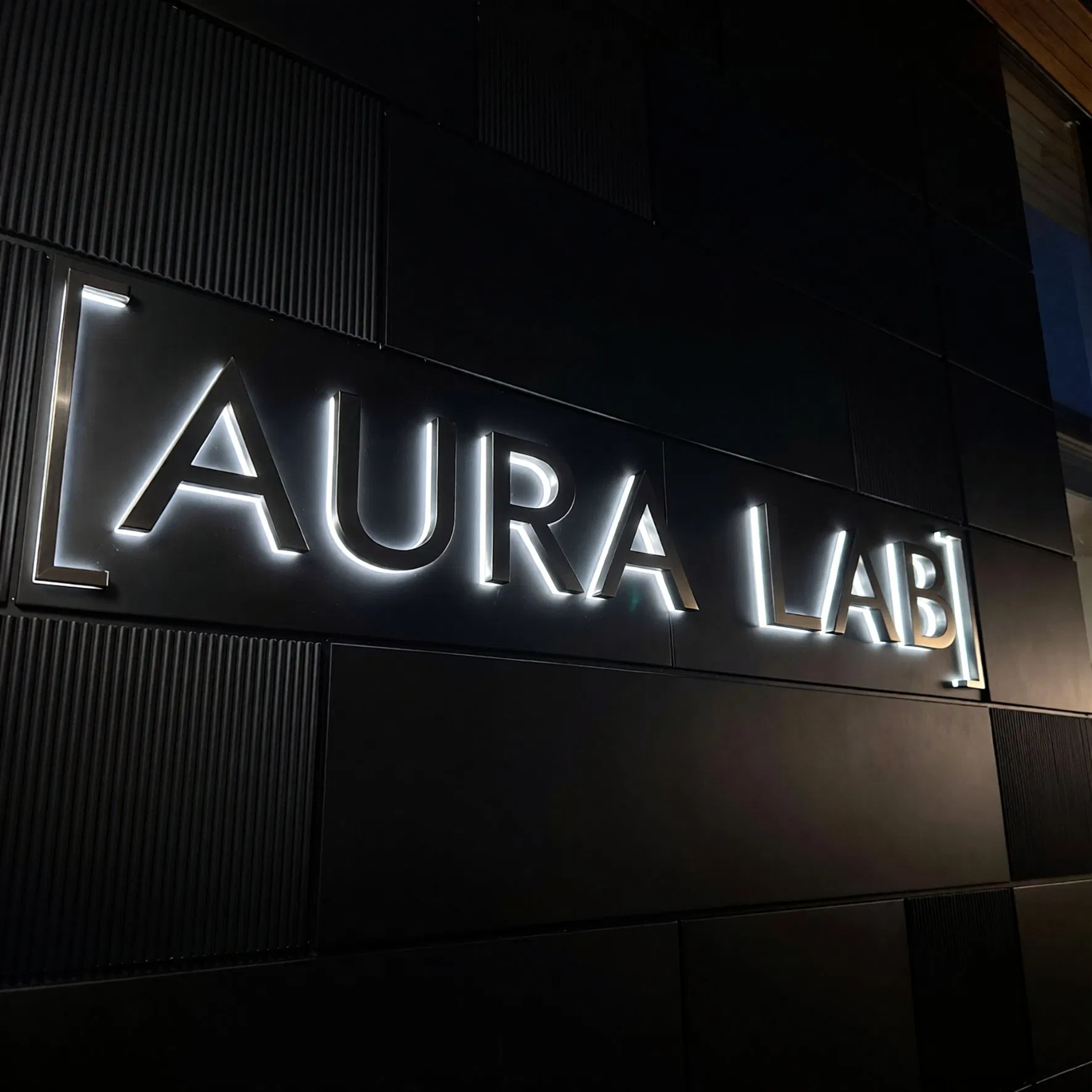 Custom Backlit Business Logo 3D Acrylic LED Letter Acrylic LED Illuminated Sign