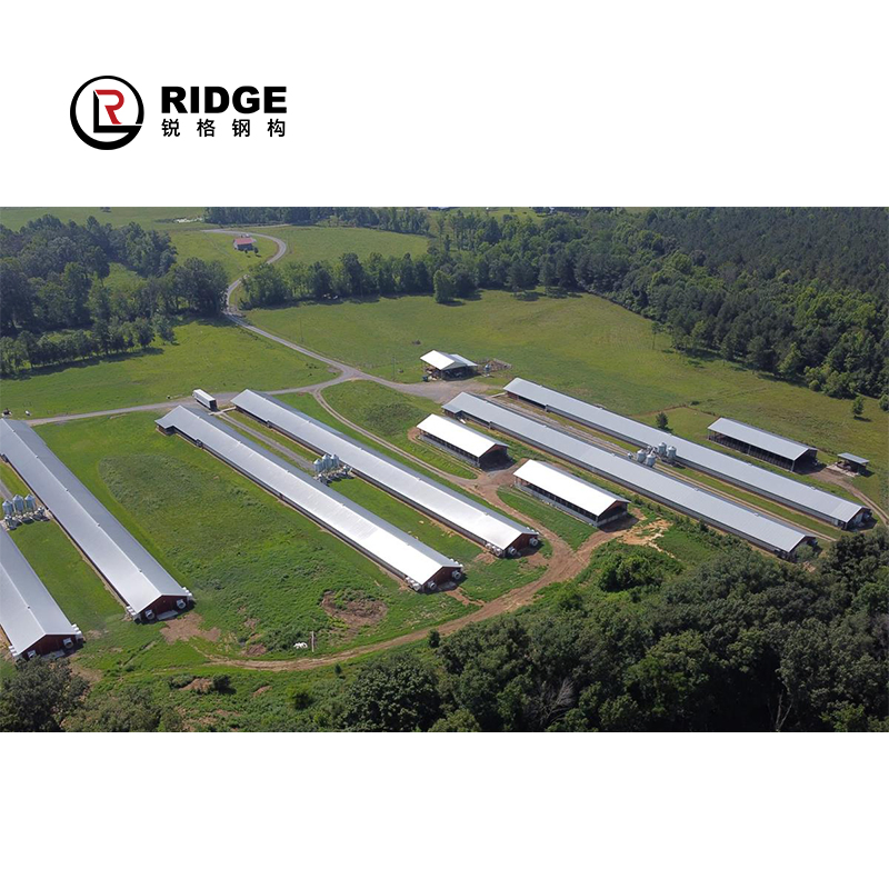 Prefabricated Construction Galvanized Steel Structure Poultry Farm Plan Fish Farm