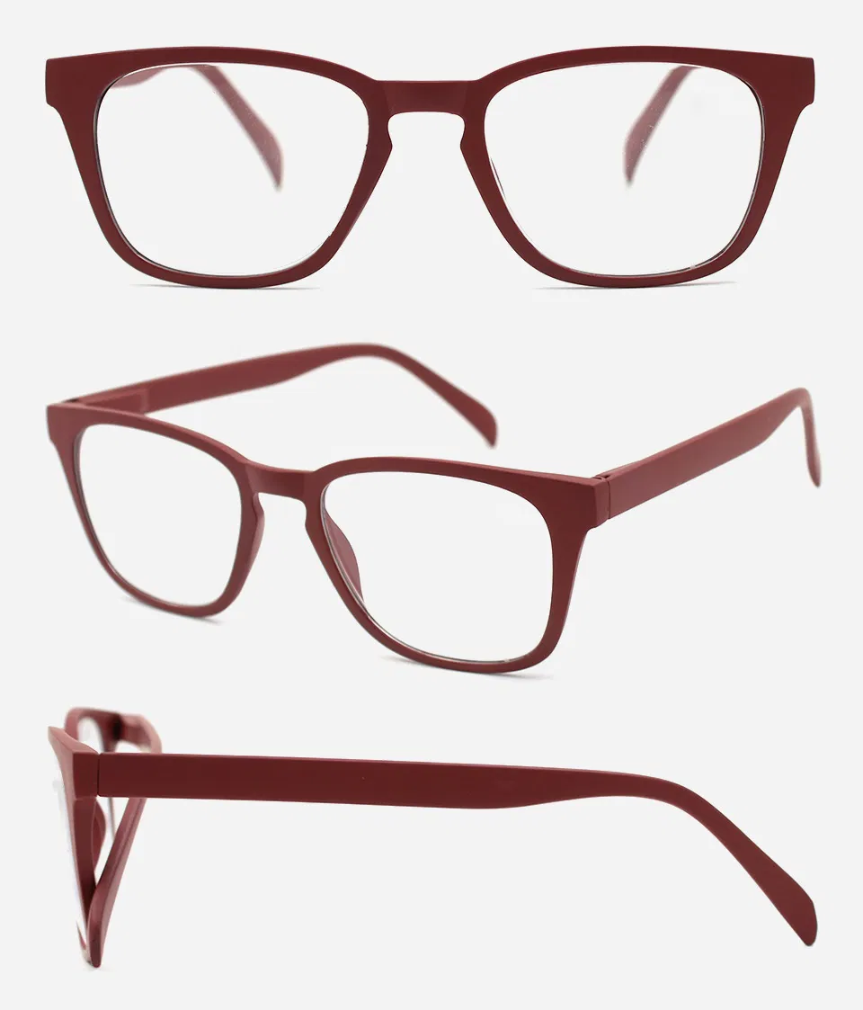 Classic Reading Glasses with Two Screws (WRP801010)