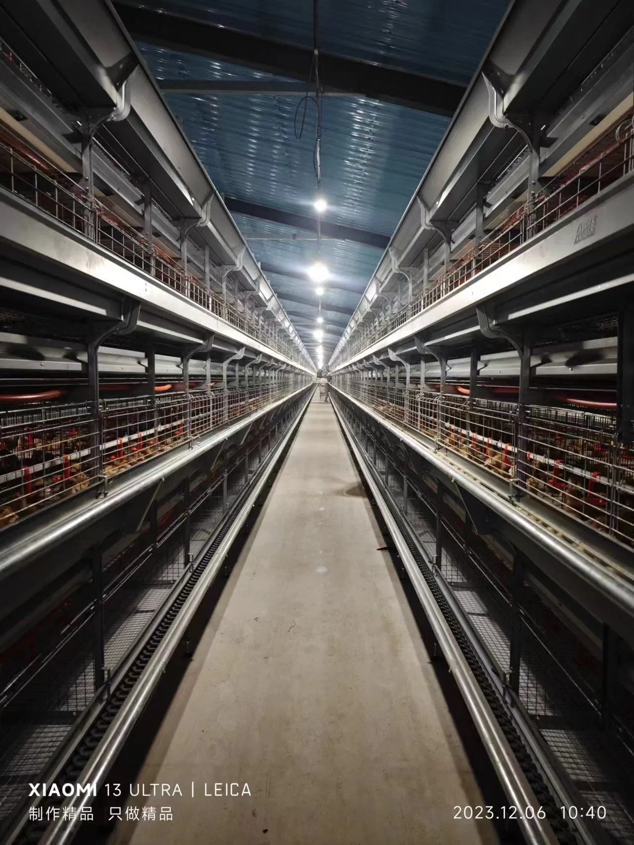 Автоматические клетки для кур-несушек H-типа