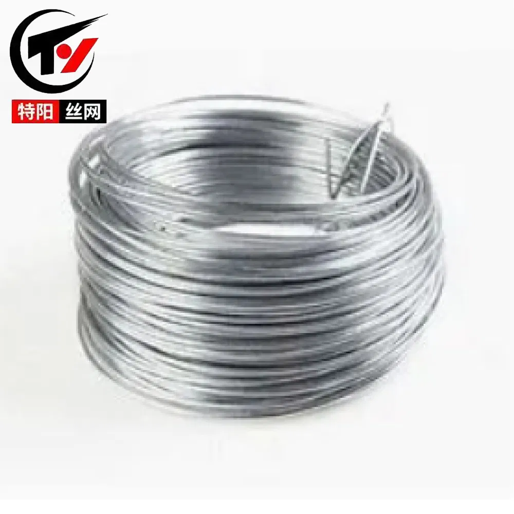 Electro Galvanized and Hot DIP Galvanized Iron Wire with Factory Price - Low Carbon Steel Binding Wire for Construction, Mesh Weaving and Fencing