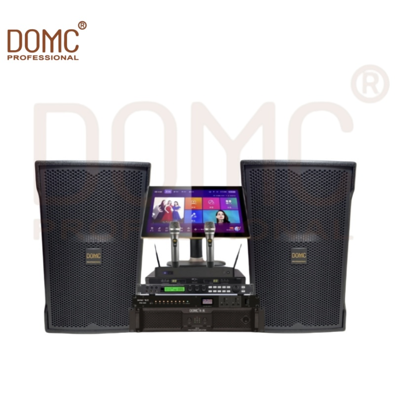 Premium 10-Inch Speaker for Clear Sound at Gatherings