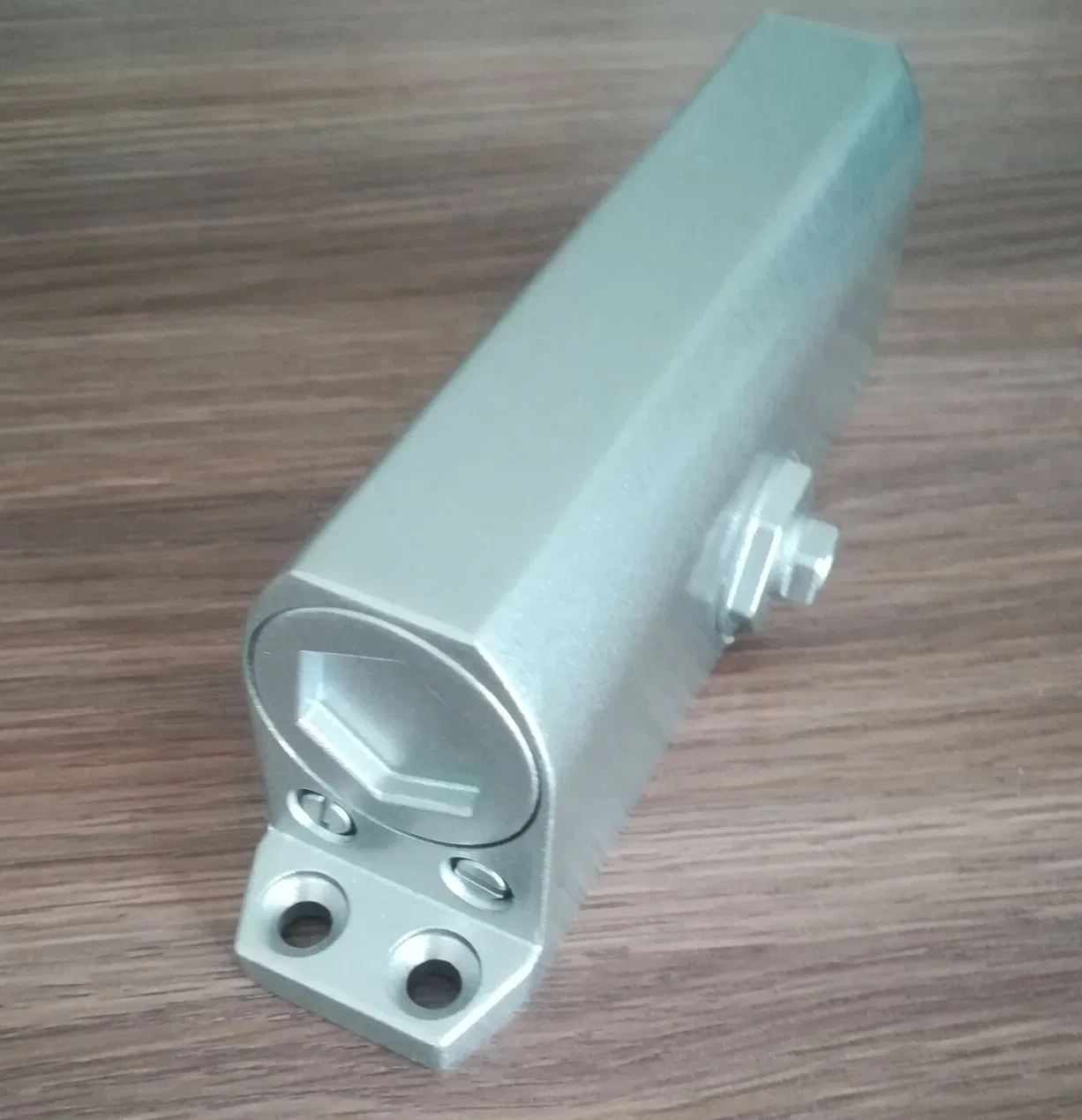 Dortec Door Closer for Wooden Metal Door 65 Kg