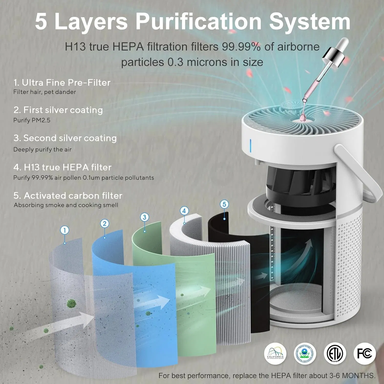 Ture Air Purifier Filter HEPA11 with Essential Oil Quiet Small Air Purifier for Pets Dust