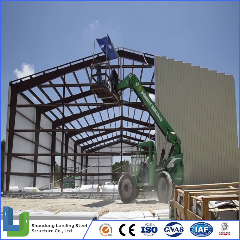 Industrial Structure Customized Wind-Resistant Prefabricated Steel Q355b Building Shed for Steel Structures