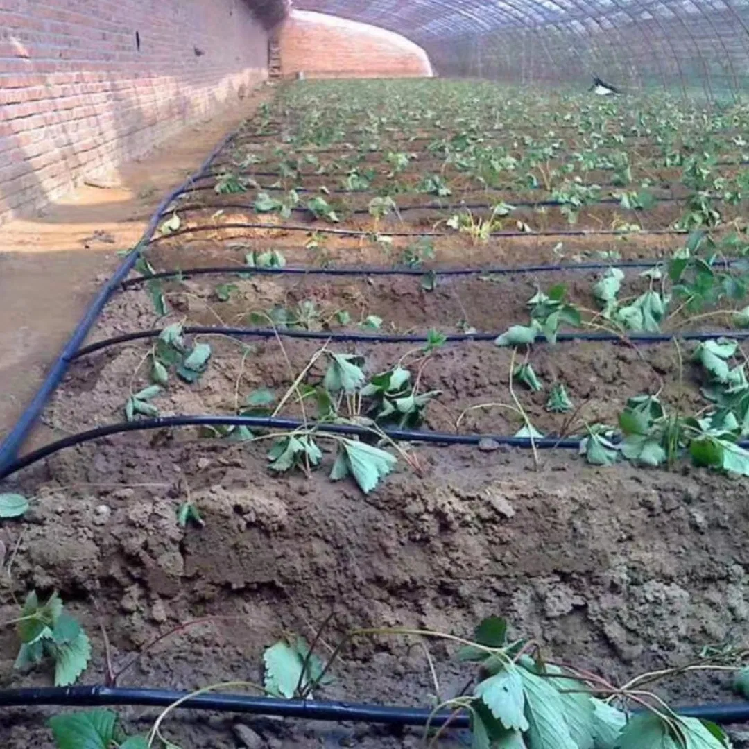 Drain Hose and Irrigation Tape with Automatic Drip Tape for Farming