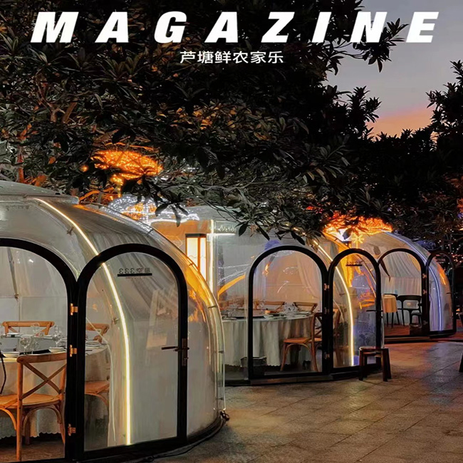 Hot Selling New Design Full Transparent Prefabricated Dome Resort Polycarbonate Dome Tent PC Polycarbonate Boarddome Hotel