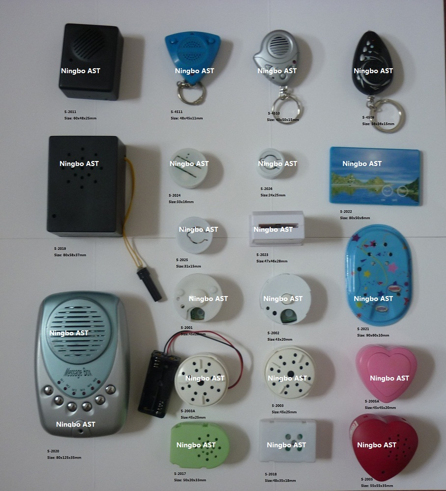 Voice Recorder Sound Module Sound Recorder for Plush Toy