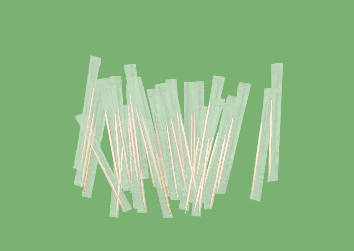 Wholesale China Factory Low Price Bamboo Dental Toothpicks